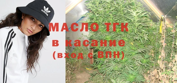 ешки Бородино