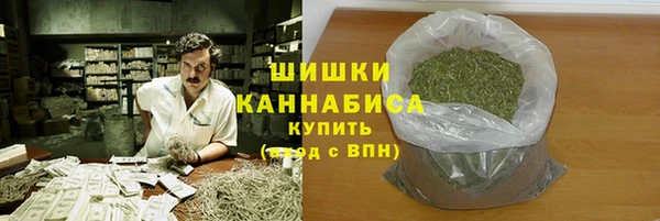 ешки Бронницы