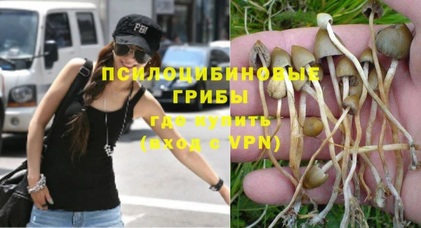 mdpv Бугульма