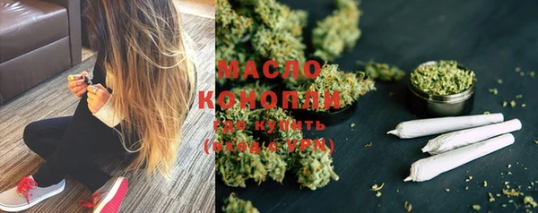 ешки Бородино