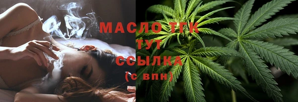 ешки Бородино